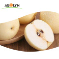 Chinese new crop sweet juicy Fresh golden Pear